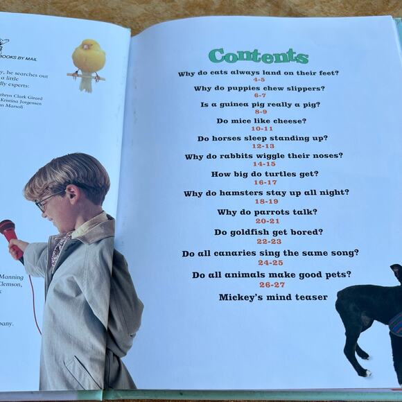 Why Do Puppies Chew Slippers 1992 Disney Company - Picture 3 of 5